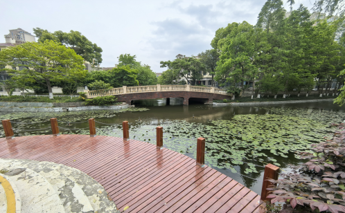 攻難點 創亮點 交匯點！金雞湖街道第四批攻堅克難項目分享會順利舉行